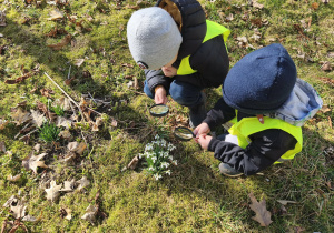 Na zdjęciu widzimy dwójkę dzieci, które oglądają przez lupę przebiśniegi.