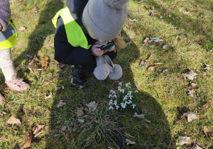 Na zdjęciu widzimy dziewczynkę, która ogląda z wykorzystaniem lupy przebiśniegi.