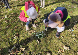 Na zdjęciu widzimy dwójkę dzieci, które oglądają przez lupę przebiśniegi.