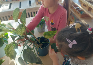 Dziewczynka ba o roślinę