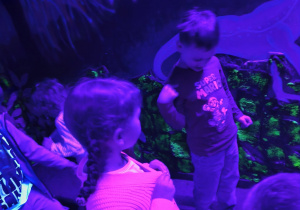 Zabawa w sali odblaskowej