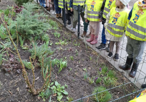 dzieci przed rabatą kwiatów