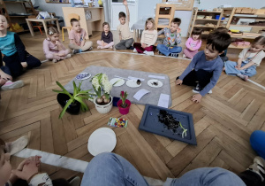 grupa dzieci siedzi na elipsie