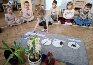 dzieczynka dokłada kartkę do talerzyka