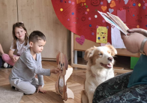 Dziecko sprawdza co pies może jeść wkładając wybrany produkt do psiej zabawki