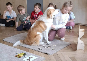 Dziecko sprawdza co pies może jeść wkładając wybrany produkt do psiej zabawki