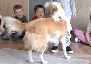 Dziecko sprawdza co pies może jeść wkładając wybrany produkt do psiej zabawki