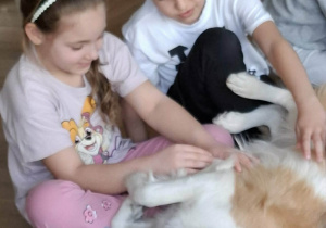 Dzieci głaszczą psa