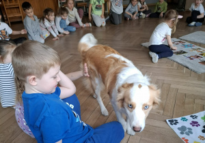 Chłopiec szanuje przestrzeń psa, nie dotyka go