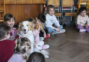 Na zdjęciu widzimy psa, który głaskany jest przez dzieci.