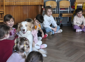 Dogoterapia - kolejne spotkanie z psem