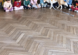 Na zdjęciu widzimy psa, który głaskany jest przez dzieci.