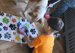 Na zdjęciu widzimy chłopca, który przygotowuje dla psa picie.