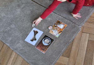 Na zdjęciu widzimy dziecko, które układa kartonik na zdjęciu przedstawiającym kość - produktu, którego psy nie mogą jeść.