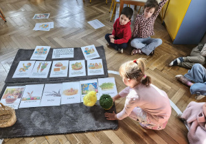 Na zdjęciu widzimy dziewczynkę, która kładzie rzeżuchę pod ilustracją.