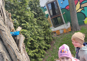 Na zdjęciu widzimy dziewczynkę i chłopca, którzy znaleźli jajeczko na drzewie.