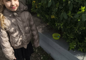 Na zdjęciu widzimy dziewczynkę, która znalazła jajeczko pozostawione przez Zajączka pod krzakiem.