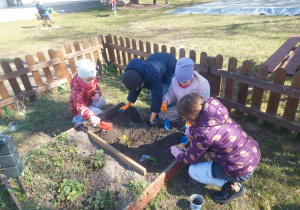 Dzieci sadzą kwiatki w ogrodzi