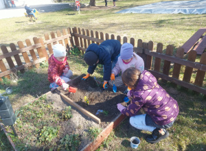 Wiosenne sadzenie w naszym przedszkolu