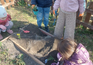 dzieci sadzące kwiaty w ogrodzie