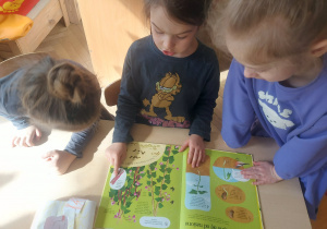 dzieci znalazły i odczytują informację w książce dotyczące wzrostu fasoli