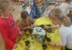 dziewczynki sadzą kwiaty w małe doniczki