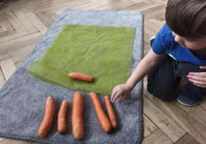 Dzieci szeregują marchewki