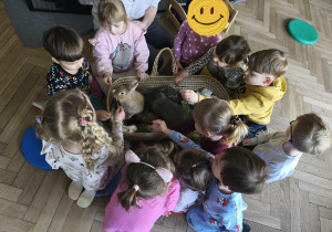 Na zdjęciu widzimy dzieci, które opiekują się królikami.