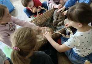 Na zdjęciu widzimy dzieci, które opiekują się królikami.