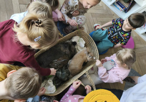 Na zdjęciu widzimy dzieci, które opiekują się królikami.