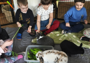 Na zdjęciu widzimy dzieci, które opiekują się królikami.