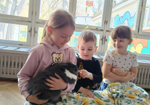 Na zdjęciu widzimy dziewczynkę, która trzyma na kolanach królika.