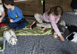 Na zdjęciu widzimy dziewczynkę, która próbuje nakarmić królika.