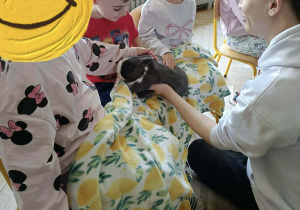 Na zdjęciu widzimy dzieci, które trzymają na kolanach królika i głaszczą go.