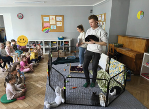 Odwiedziny królików