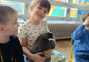 Na zdjęciu widzimy dziewczynkę, która trzyma na kolanach królika.