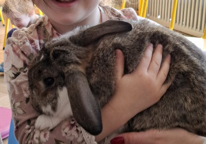 dziewczynka trzyma królika