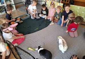 dzieci w zagrodzie z królikami