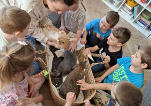 dzieci siedzą przy łóżeczku z królikami