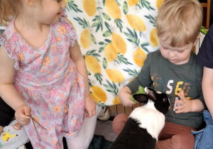 dzieci w zagrodzie z królikami