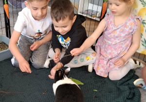 dzieci w zagrodzie z królikami