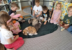 dzieci w zagrodzie z królikami