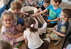 dzieci siedzą przy łóżeczku z królikami