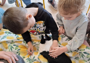 dzieci głaszczą królika