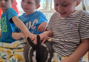 dzieci głaszczą królika