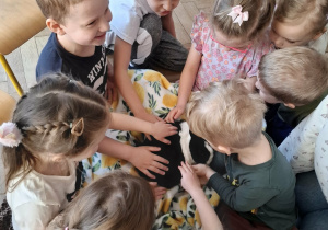 dzieci głaszczą królika