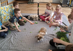 dzieci w zagrodzie z królikami