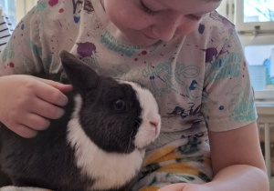 chłopiec głaszcze królika