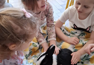 dzieci głaszczą królika