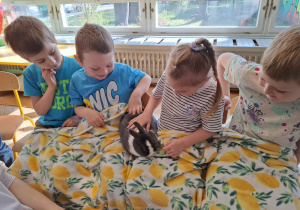 dzieci głaszczą królika